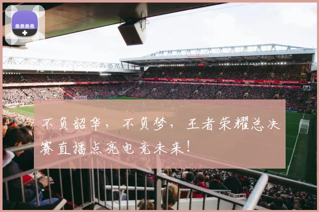 不负韶华,不负梦,王者荣耀总决赛直播点亮电竞未来!