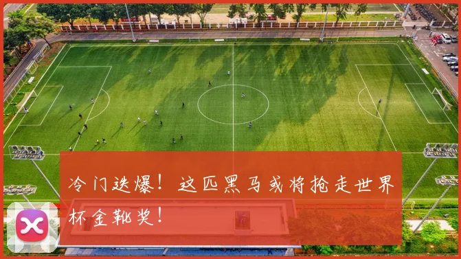 冷门迭爆!这匹黑马或将抢走世界杯金靴奖!