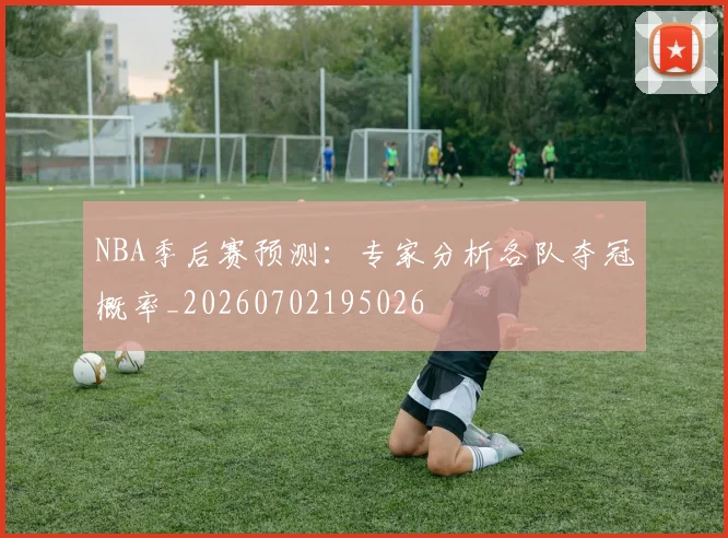 NBA季后赛预测:专家分析各队夺冠概率_20260702195026