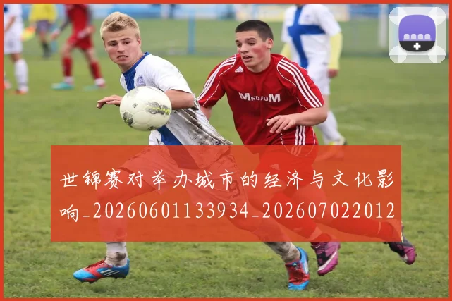 世锦赛对举办城市的经济与文化影响_20260601133934_20260702201202