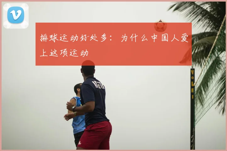 排球运动好处多:为什么中国人爱上这项运动